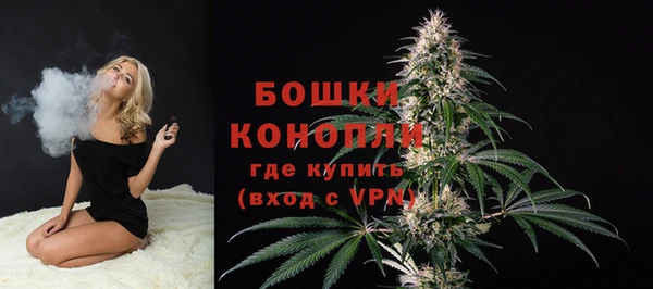 дживик Сафоново