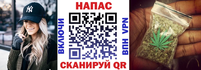 Канабис конопля Ульяновск